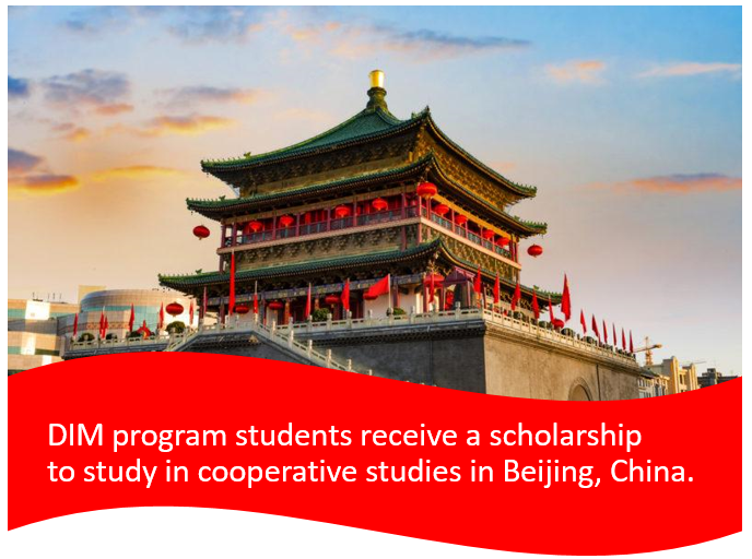 cooperative, China, DIM