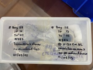 โบราณวัตถุที่ขุดพบในโบราณสถานตุมปัง 