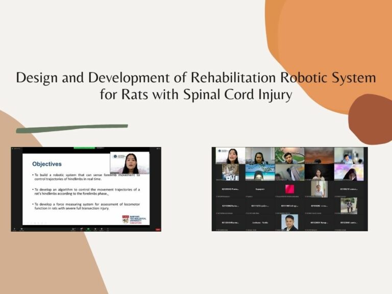 Design and Development of Rehabilitation Robotic System for Rats with Spinal Cord Injury